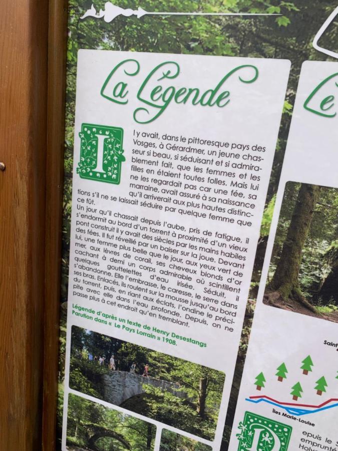 Charmant Appartement A Gérardmer Zewnętrze zdjęcie